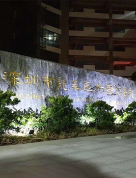 深圳市龙华外国语学校
